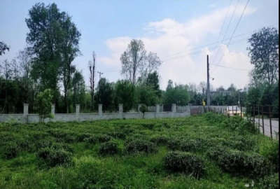 فروش زمین همراه جواز ساخت ۵۰۰ متری سردارجنگل روستای زیده