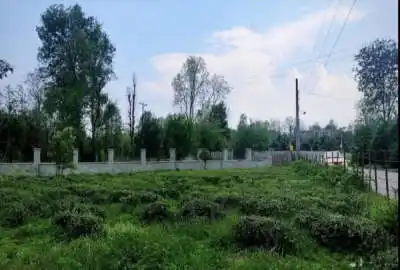 فروش زمین همراه جواز ساخت ۵۰۰ متری سردارجنگل روستای زیده