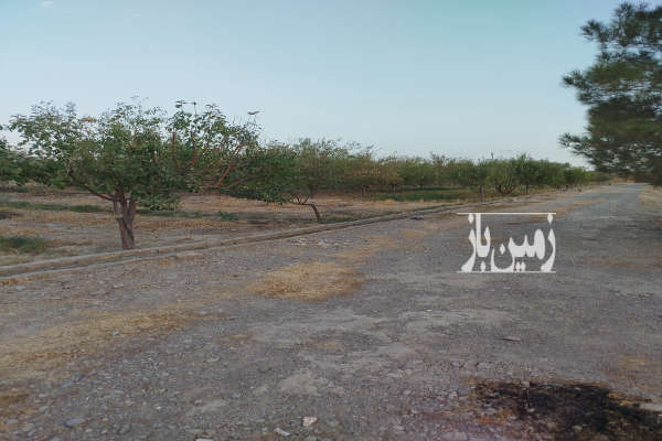 فروش زمین باغی در شاهنامه ۱۷۵۰۰ متر-2