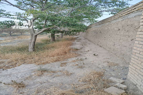 فروش زمین باغی در شاهنامه ۱۷۵۰۰ متر-3