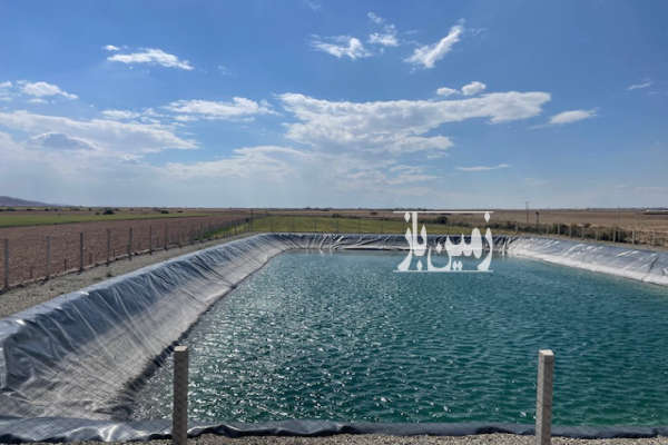 فروش ۱۲ هکتار مزرعه کشاورزی باغ پسته و توت و زیتون در ایوانکی-1