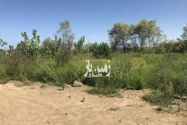 فروش زمین مسکونی به متراژ ۳۷۰ متر در روستای خلخالیان-2