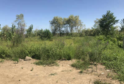 فروش زمین مسکونی به متراژ ۳۷۰ متر در روستای خلخالیان