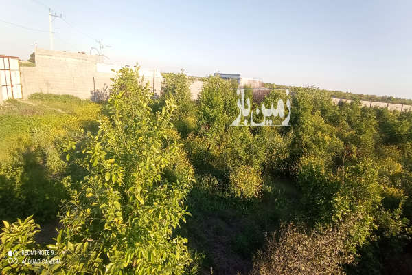 فروش باغ با درخت مرکبات دزفول منتظران ۲۰۰۰ متر-1