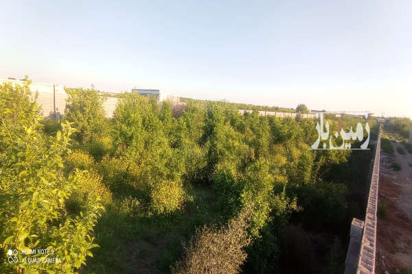 فروش باغ با درخت مرکبات دزفول منتظران ۲۰۰۰ متر-2