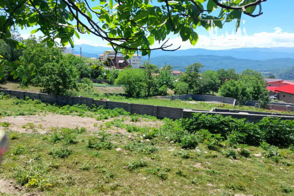 فروش زمین ۲۲۵ متر در روستای اتو سوادکوه با چشم انداز زیبا-2