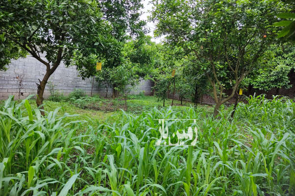 فروش زمین مسکونی ۳۰۰ متر روستای خراسان محله-3