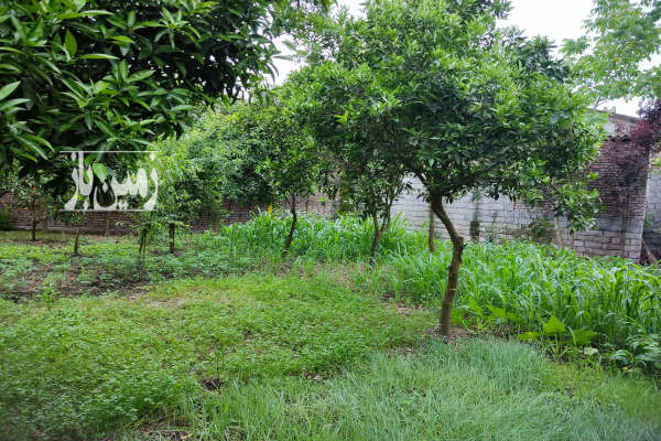 فروش زمین مسکونی ۳۰۰ متر روستای خراسان محله-4