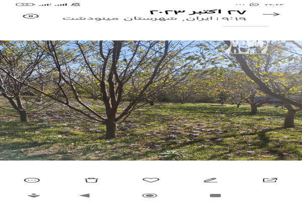 فروش زمین مسکونی شهر دوزین جای دنج وویو کوه ۷۸۰ متر-1