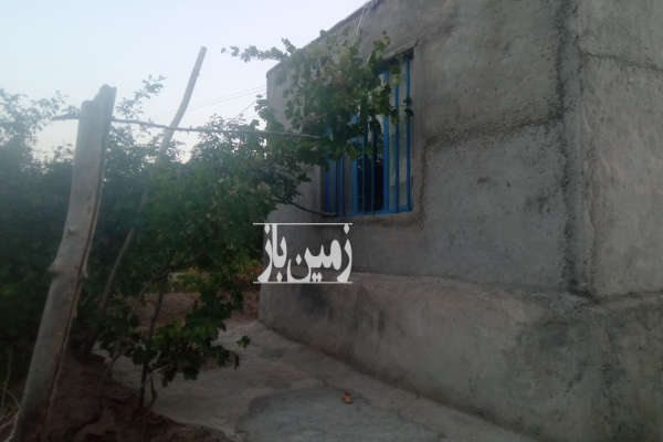 فروش باغ انگور سیاه و سفید با درخت بادام و گردو ۷۷۳ متر-3