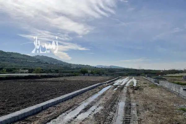 فروش زمین باغی برای ساخت ویلا درآمل روستای مزرس ویو جنگلی - تصویر 2