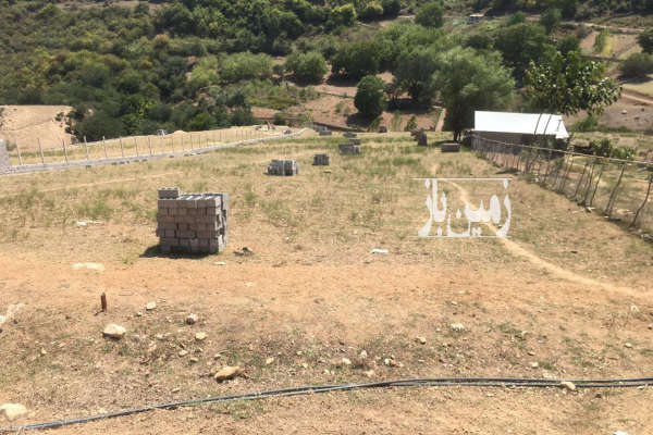 فروش ۲۰۰۰ متر زمین باغی در دودانگه روستای تلارم با بر ۱۶ متری-2