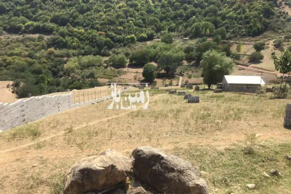 فروش ۲۰۰۰ متر زمین باغی در دودانگه روستای تلارم با بر ۱۶ متری - تصویر 4