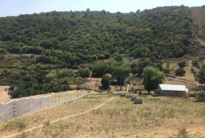 فروش ۲۰۰۰ متر زمین باغی در دودانگه روستای تلارم با بر ۱۶ متری
