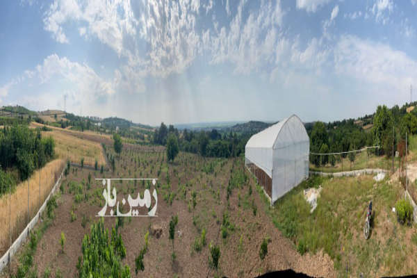 فروش زمین میاندورود روستای لالیم ۷۲۵۰ متر-1