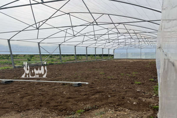 فروش زمین میاندورود روستای لالیم ۷۲۵۰ متر-3