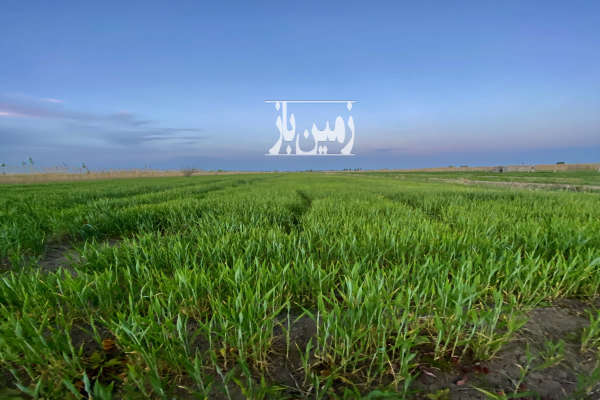 فروش زمین زراعی ۱۰ هزار متری با سند ۶ دانگ در ماکو-1