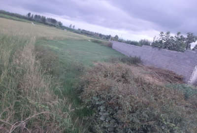 فروش زمین مسکونی ۴۱۵ متر در بافت روستای کمانگر