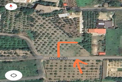 فروش زمین کشاورزی جاده فرح آباد ساری ۱۰۰۰ متر