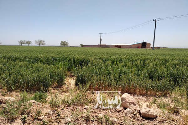 فروش زمین ۱۰۰۰متری بین روستای هلالی و برزش آباد-3
