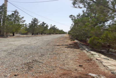 فروش باغچه ۵۰۰ متری نیمه ساز چهار دیواری ماهدشت