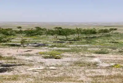 فروش زمین باغی اسکو جاده توریستی کندوان ۱۵۳۰ متر