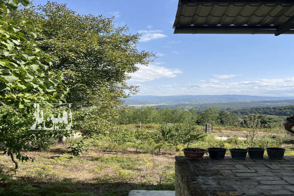 فروش زمین مسکونی کشاورزی ۵۰۳ متر واقع در رستای شکتا-4
