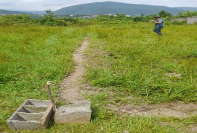 فروش زمین مسکونی در تنکابن روستای سلیمان اباد روستای جل چلاسر