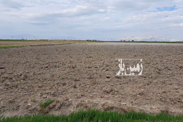 فروش زمین بین روستای جاری اباد و علی ابادسرتل بیضا ۱۷۰۰۰ متر-2