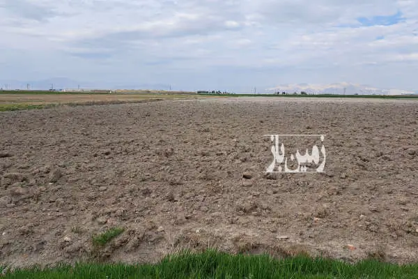 فروش زمین بین روستای جاری اباد و علی ابادسرتل بیضا ۱۷۰۰۰ متر - تصویر 2