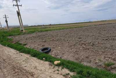فروش زمین بین روستای جاری اباد و علی ابادسرتل بیضا ۱۷۰۰۰ متر