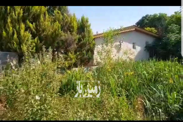 فروش زمین مسکونی ۱۳۰ متری در روستای شیرکلا-1