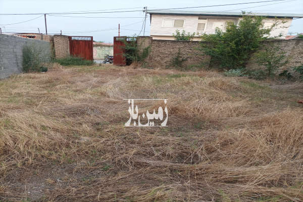 فروش زمین مسکونی ۲۴۱ در روستای طوسکلا نکا-3