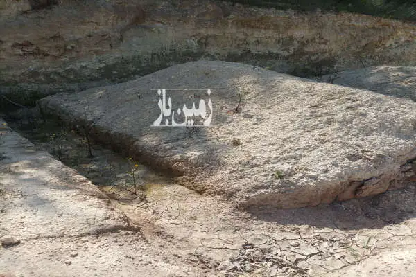 فروش فوری زمین باغی ۲۳۰۰ ویو عالی در روستای زرندین نکا - تصویر 3