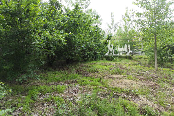 فروش زمین مسکونی ۴۳۰ متر در روستای توریستی زمیدان-2