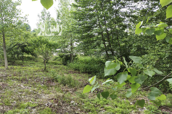 فروش زمین مسکونی ۴۳۰ متر در روستای توریستی زمیدان-4