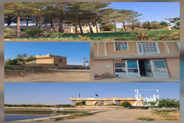 فروش مزرعه ۴۲ هکتاری با چاه عمیق در ابرکوه روستای هروک-2