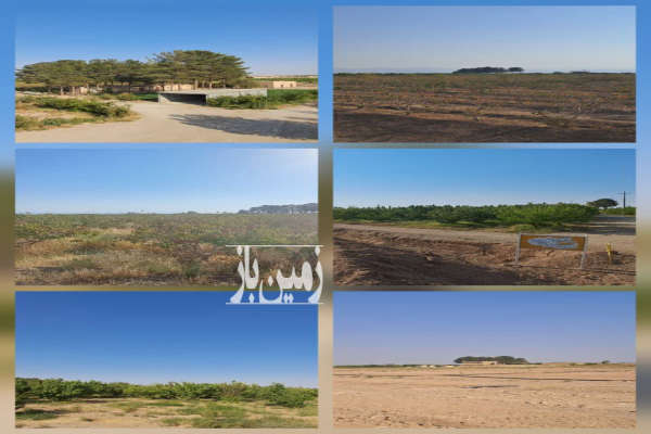 فروش مزرعه ۴۲ هکتاری با چاه عمیق در ابرکوه روستای هروک-3