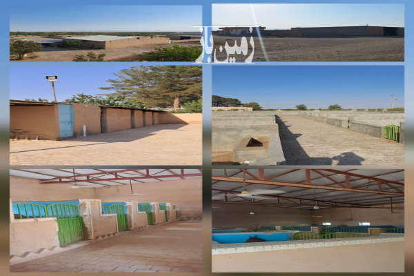 فروش مزرعه ۴۲ هکتاری با چاه عمیق در ابرکوه روستای هروک-4