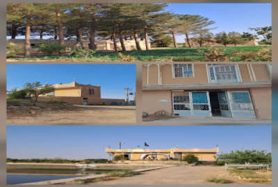 فروش مزرعه ۴۲ هکتاری با چاه عمیق در ابرکوه روستای هروک