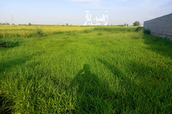 فروش زمین کمربندی احمد چاله پی روستای سرون محله ۳۲۳ متر-1