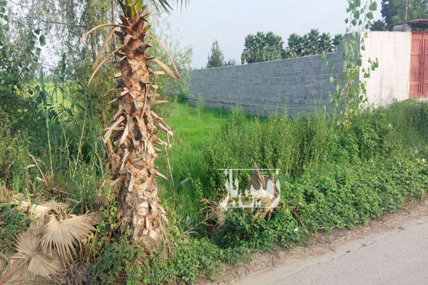 فروش زمین کمربندی احمد چاله پی روستای سرون محله ۳۲۳ متر-2