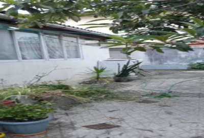 فروش خانه مسکونی حیاط دار در خیابان امام ۱۵۹ متر