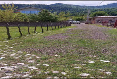 فروش ۴۲۰ متر زمین در طاسکوه روستای کوهپایه ای سیاهدول
