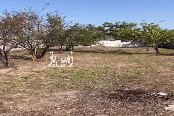 فروش زمین ۴۷۰ متری در بندپی غربی لمسوکلا شهرکی-1