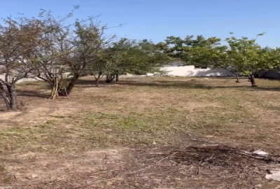 فروش زمین ۴۷۰ متری در بندپی غربی لمسوکلا شهرکی