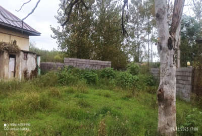 فروش زمین در روستای پشتمسار صومعه سرا ۲۱۶ متر