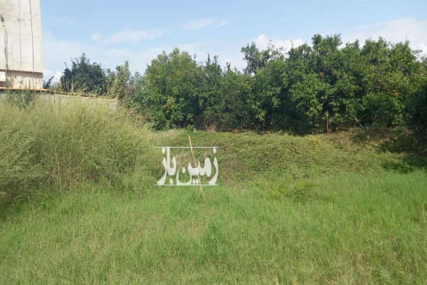 فروش زمین دویست متری در روستای معلم کلا-1