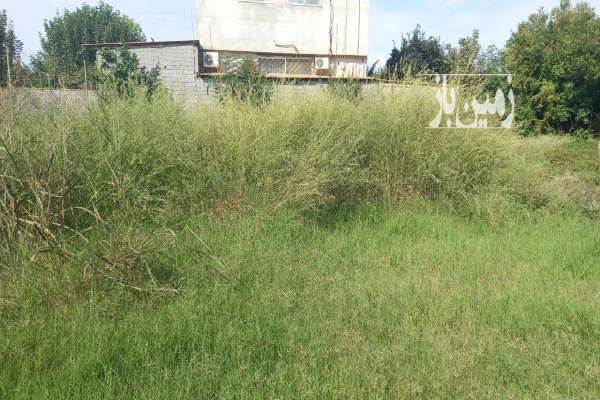 فروش زمین دویست متری در روستای معلم کلا-2