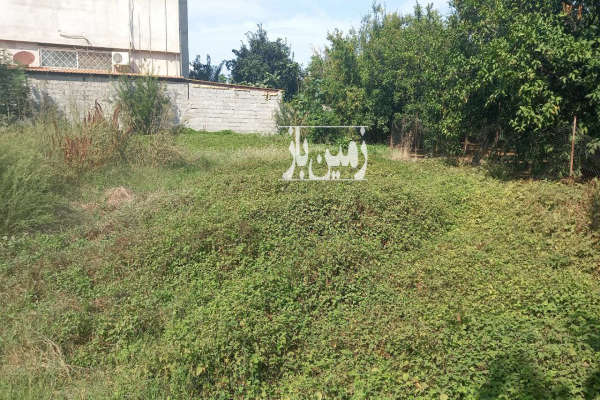 فروش زمین دویست متری در روستای معلم کلا-3